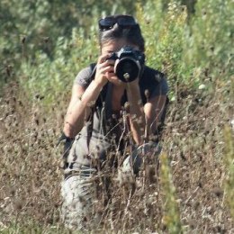 269500_361581773929516_38669171_n