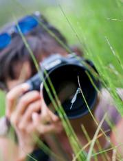 1157437_502096989877993_1705136612_n