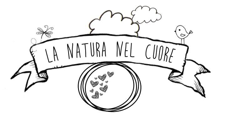 Presentazione standard2